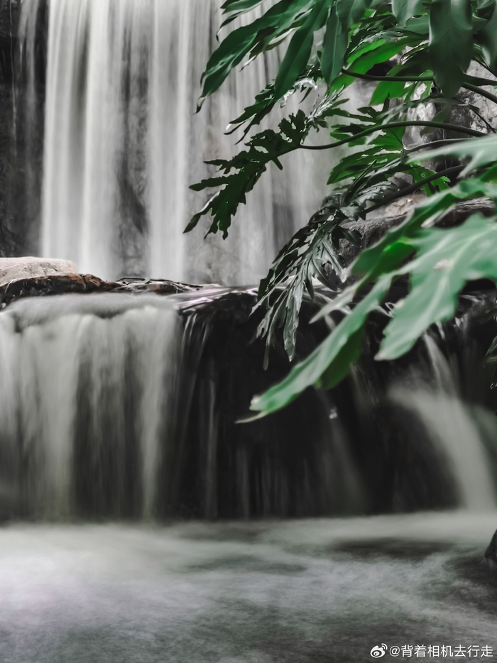 公园中的慵懒与松弛感微相册微博摄影