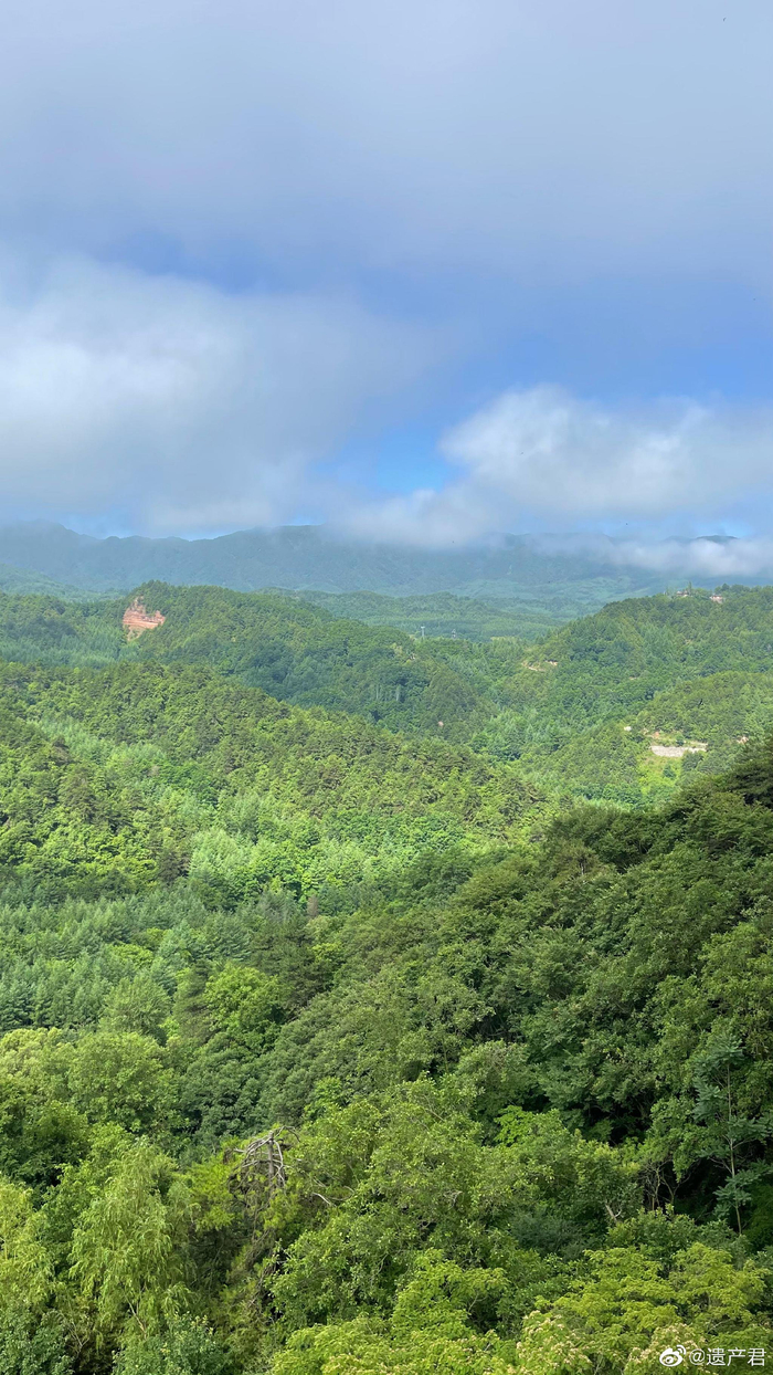 麦积山的青翠凉爽