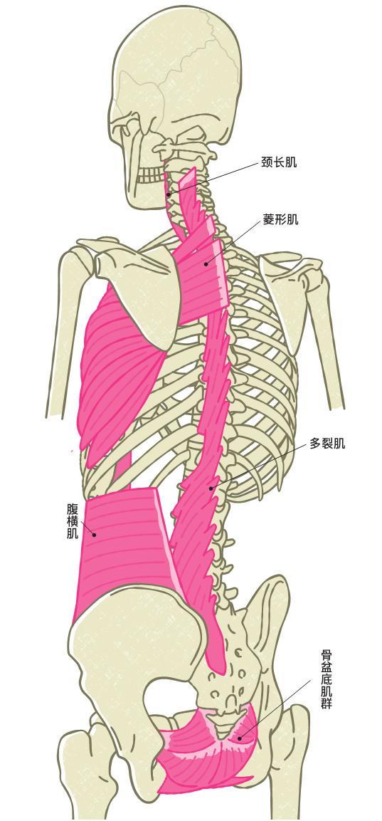 所谓运动控制