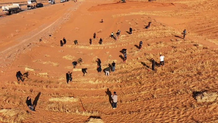沙海尽斑斓——来自腾格里沙漠治理一线的报道|腾格里沙漠|植树