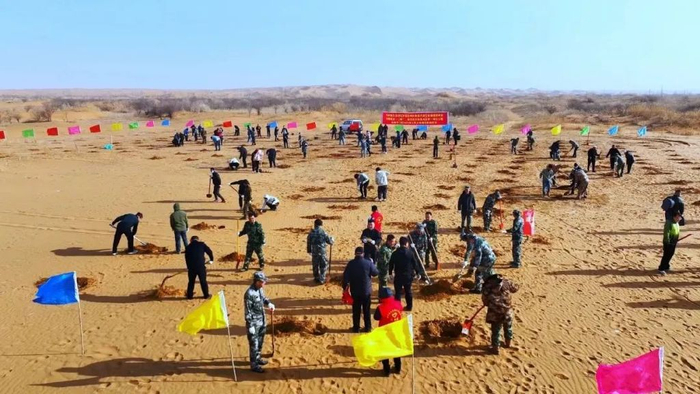 52万亩,其中大部分分布在阿拉善左旗和孪井滩生态移民示范区境内,生态