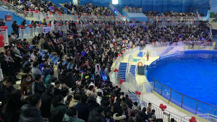 玩转潍坊寿光攻略来了|海洋世界|林海|潍坊市_新浪新闻