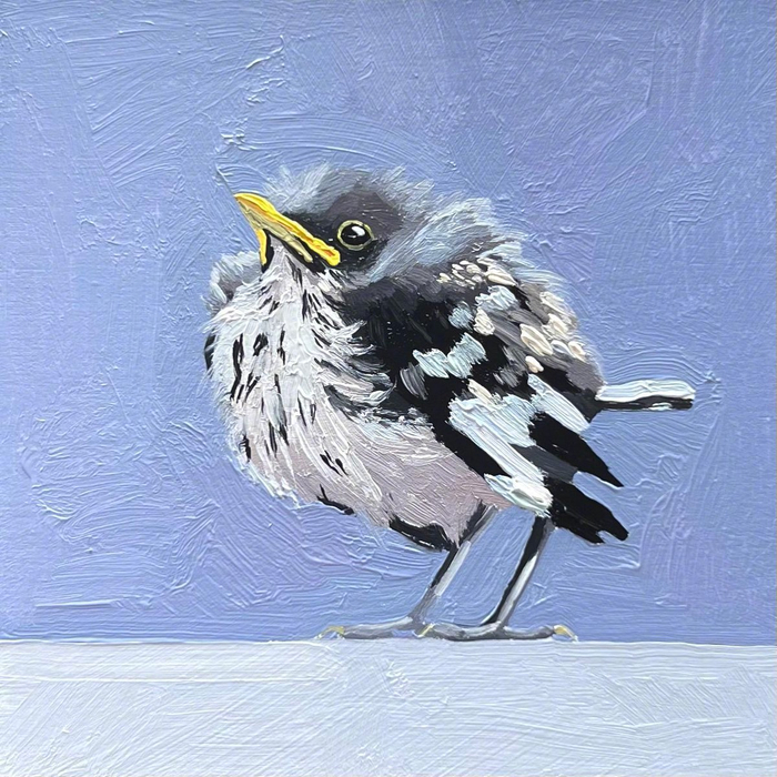 画家leah gardner笔下的鸟,栩栩如生!