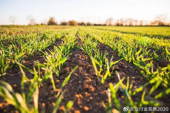 农业强国蜕变：湖南粮食产量创新高，农产品收益破纪录