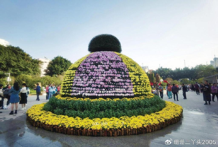 广州"历史最悠久"的菊会,6000菊花组"菊王",地铁直达免门票|广州市