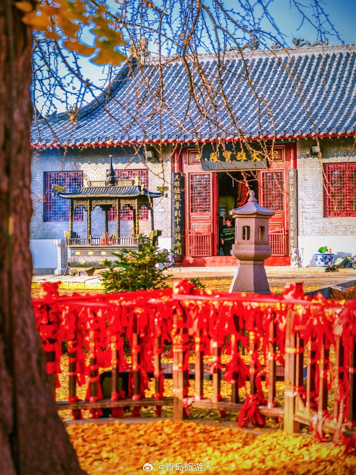 初冬青岛的千年古寺——法海寺, 金叶遍地,红带飞扬
