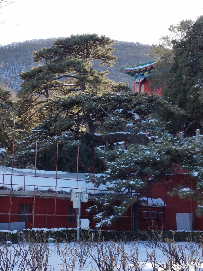 北京戒台寺 大雪过后,干干净净 摄影