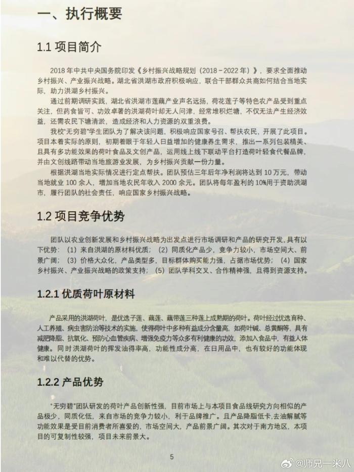 乡村振兴创意策划书(乡村振兴创新创业策划书)