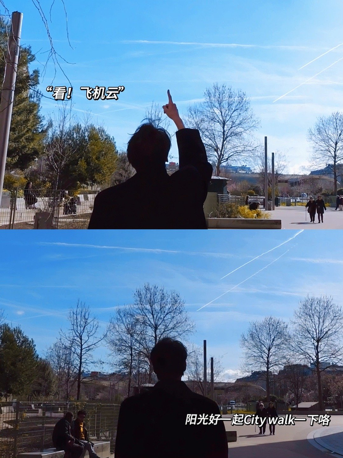 与勋约会之出国度蜜月维达熊是一款特别帅气可靠又可爱的老公