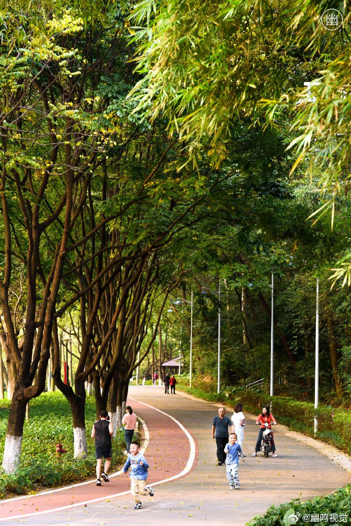 来一场绿意盈盈的citywalk感受城市慢生活东莞元美公园