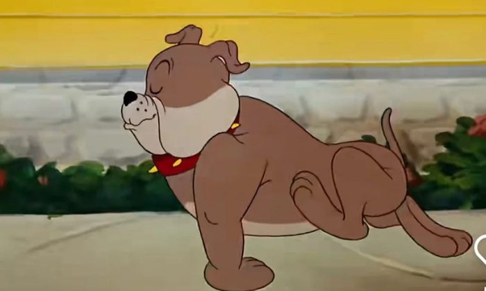 猫和老鼠诚不欺我! 恶霸犬皮皮简直跟动画片里的小狗一模一样