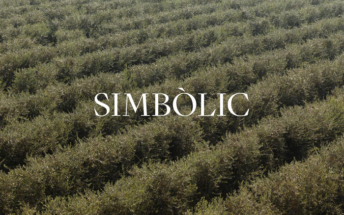 文字设计与编排应用fontstudio