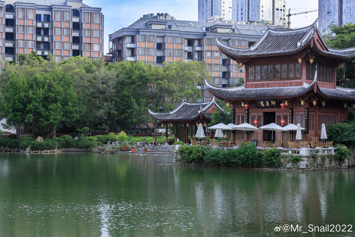 黎明湖公园