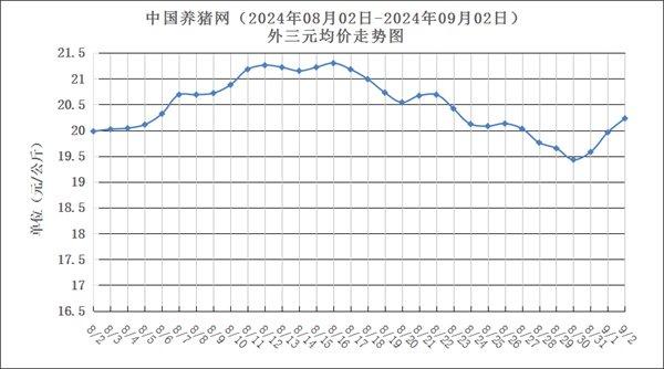 09月02日猪评：红似火！猪价上涨“突飞猛进”！发生了啥？