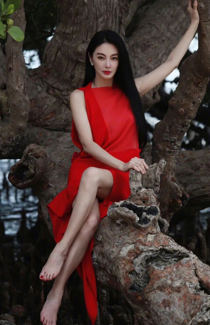 佟丽娅陈思诚,于适,施柏宇,大s,张雨绮|佟丽娅|陈思诚|张雨绮_新浪