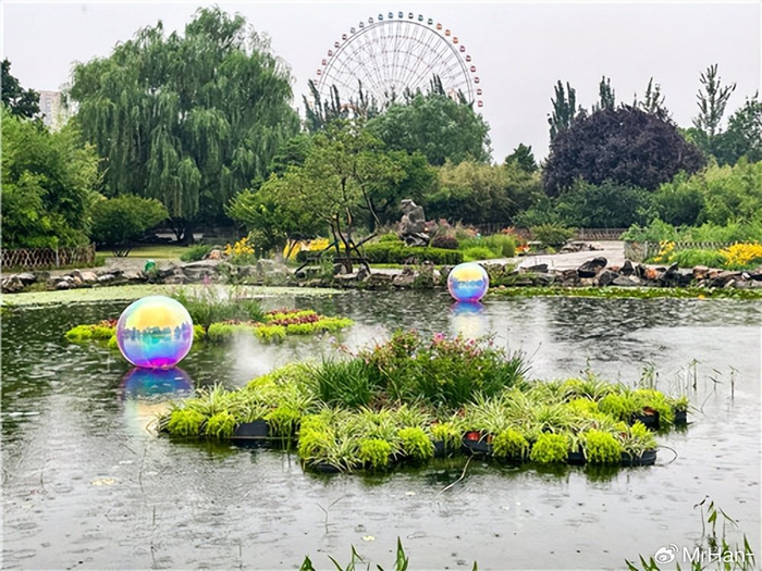 保定市植物园第五届水生植物艺术展正式开展