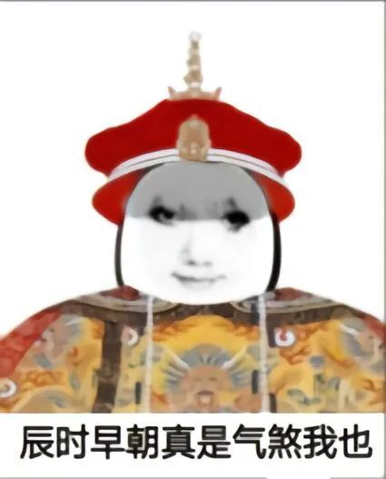 抖音很火的龙图皇帝表情包 拿图请顺便吱一声 很难有动力发图了