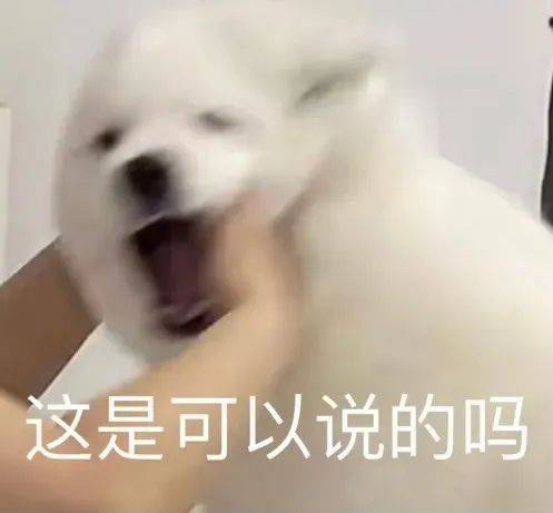 表情包 | 这是可以说的吗 拿图点赞、吱声__财经头条
