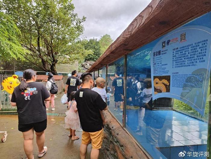 寮步镇爱心父母大联盟暨庆六一活动在香市动物园举行