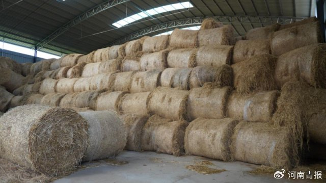 并配备打捆机,套袋机,粉碎机,铲车等配套设施,积极开展秸秆统一回收