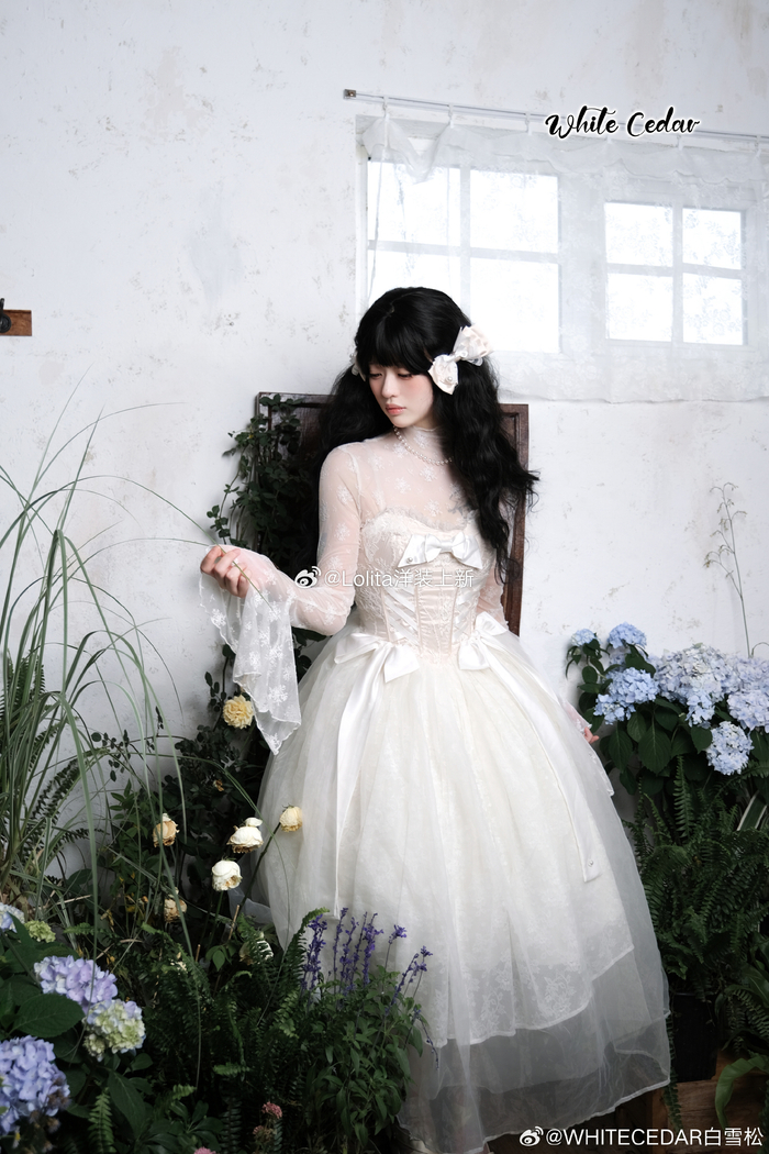 电阻:@whitecedar白雪松 裙子:阿多尼斯的玫瑰 图透