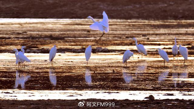 河南省鹤壁:一河诗赋唱九州 人与自然和谐生