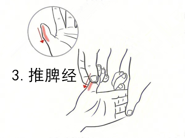 广东儿保朱红:春季追高关键在脾胃,这样调理效果更好
