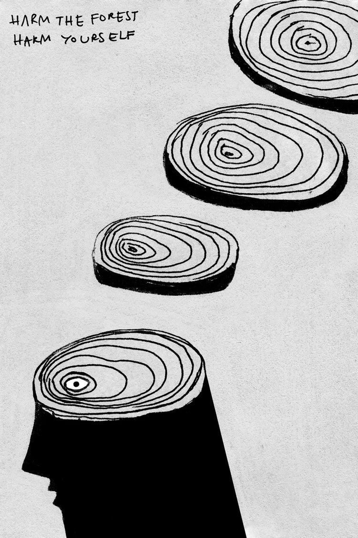 年轮元素的海报运用 | 岁月的沉淀和历史的厚重感