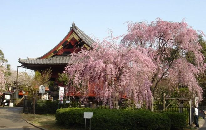 上野恩赐公园