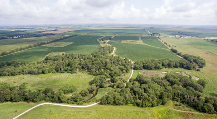 tnc湿地保护案例分享 | 创新构建人工湿地改善农业径流