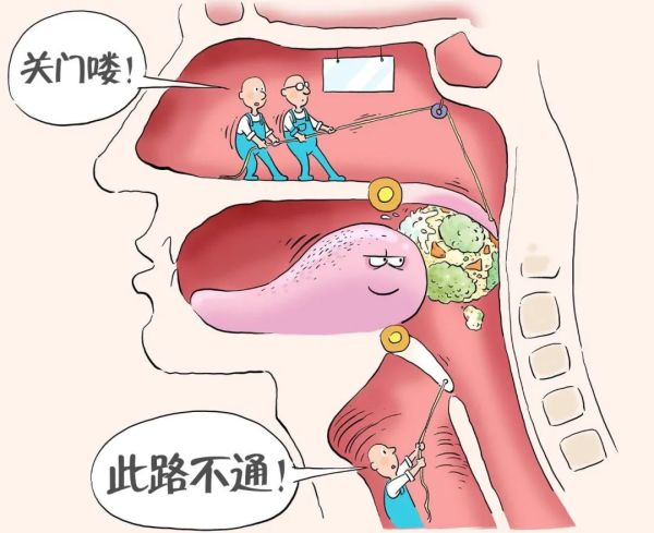 蛇最大能吞下多大的猎物?比自身体重还大,尺寸超出想...