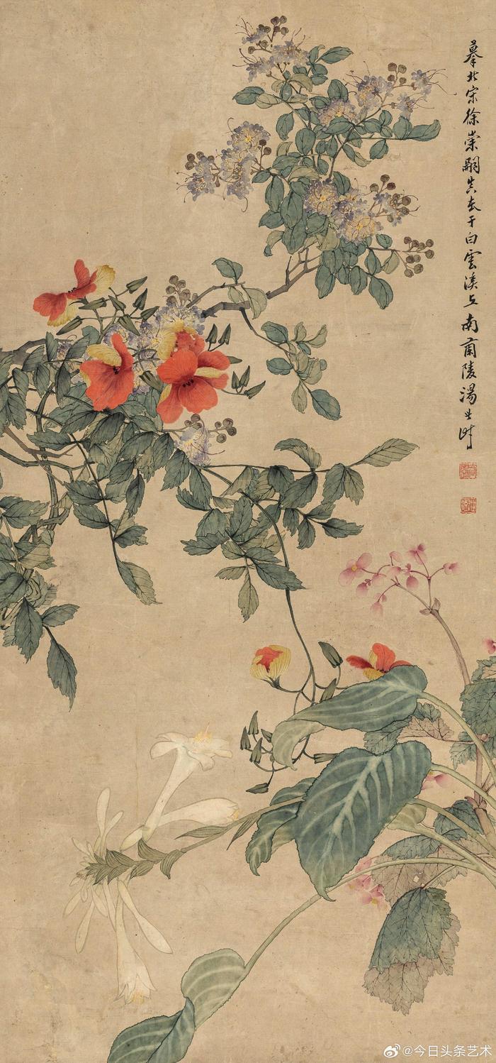 清代花鸟画的代表画家图片