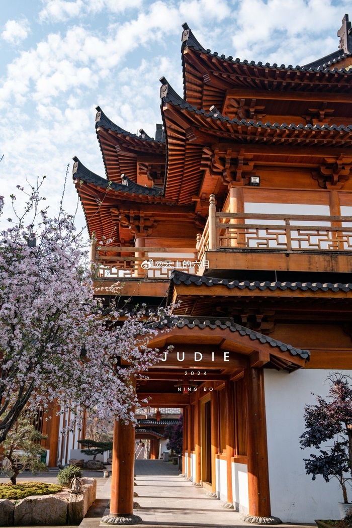 网友云上的六月投稿花开见佛宝庆禅寺里的西府海棠真美宁波