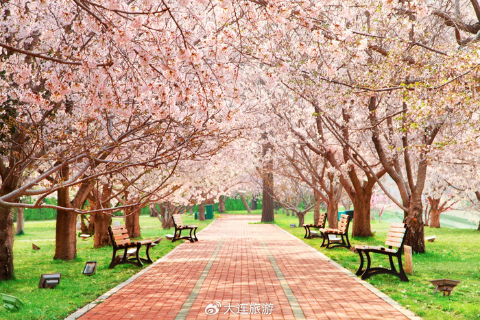 春意山海遇见大连2024大连五一文旅活动和产品线路发布