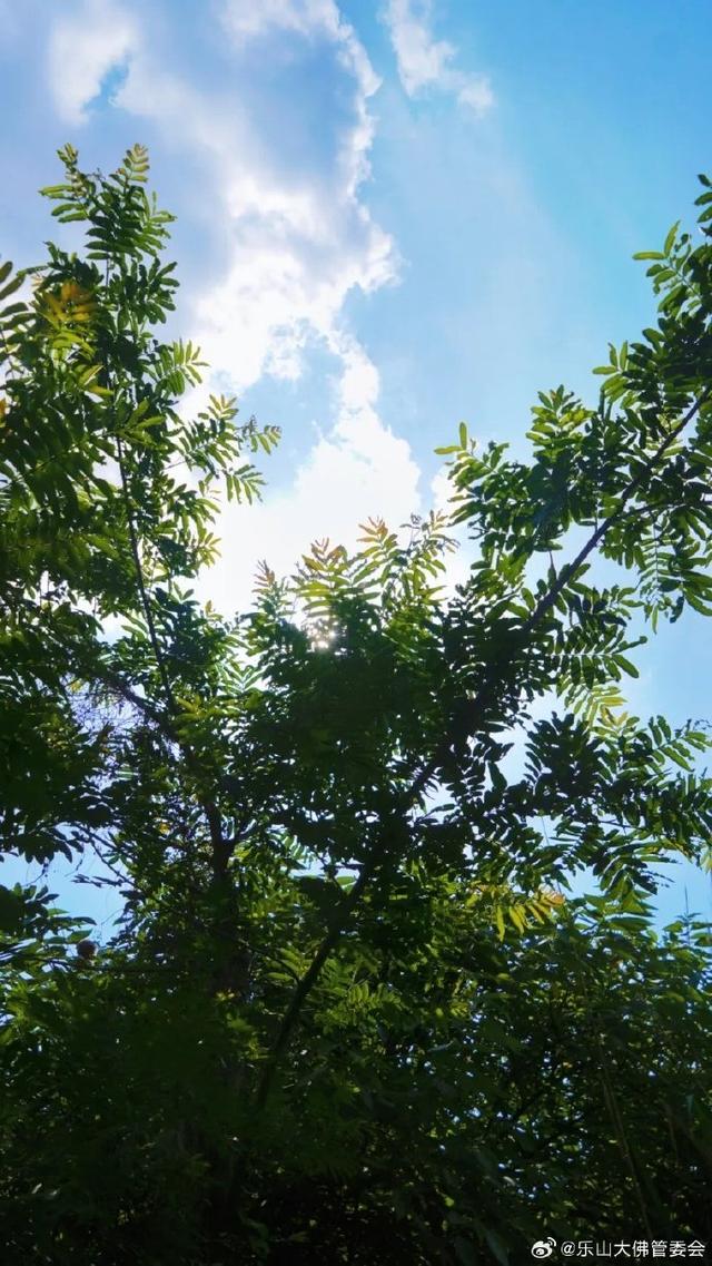 五月夏林初盛，周末宜出游！