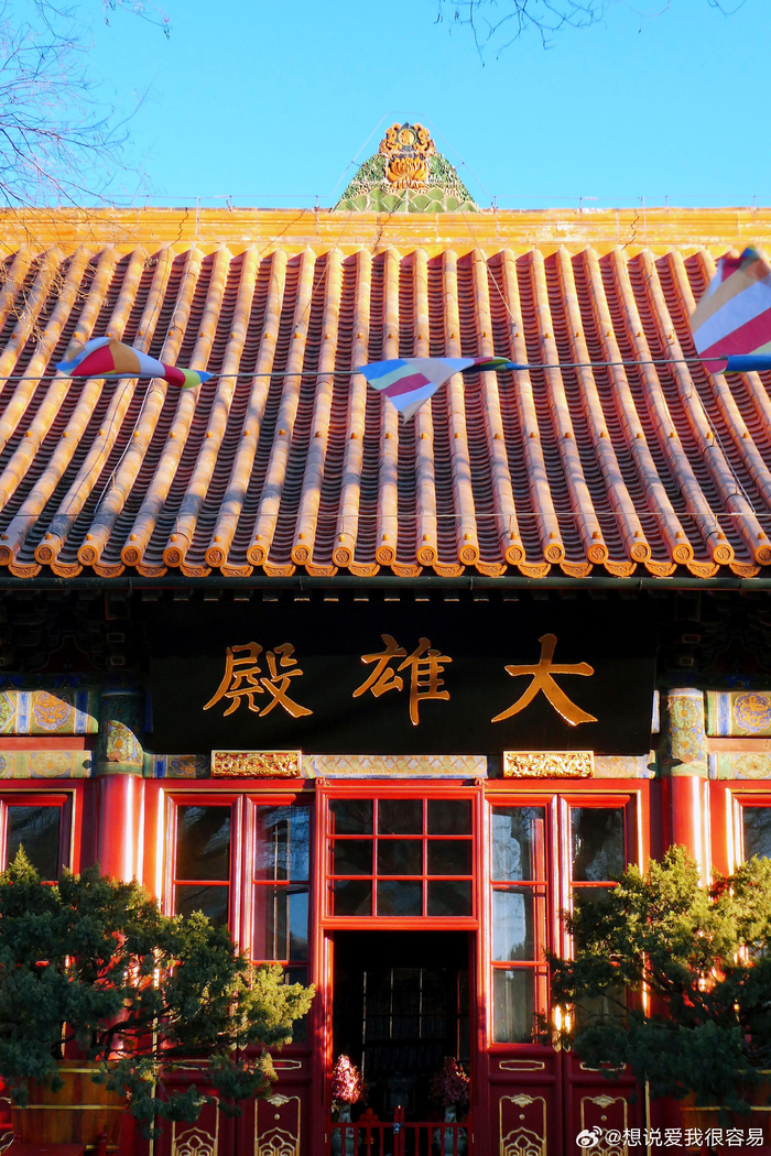 第一次到北京广济寺摄影