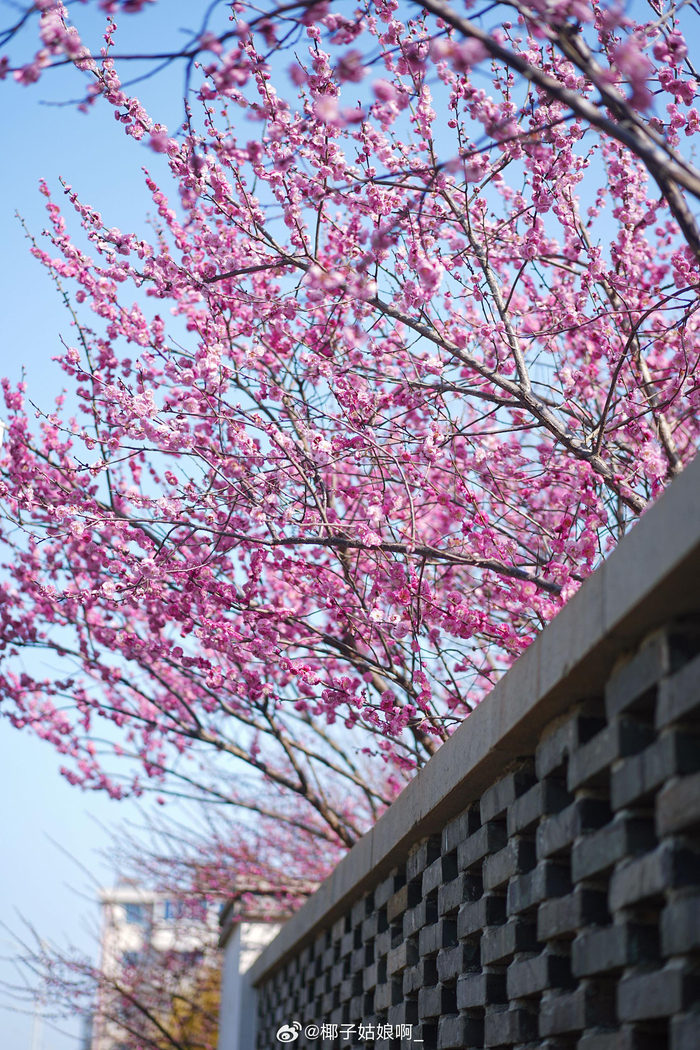 照片里的好天气__财经头条