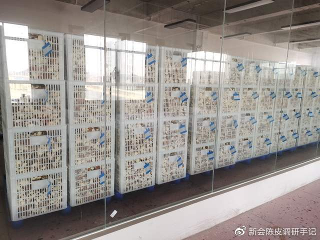 新会陈皮:在“自然陈化”面前,讨论“干仓”、“湿仓”意义不大