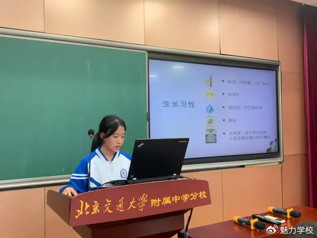 春意植生,逐光而行