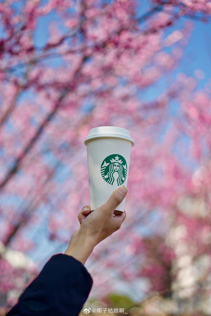 照片里的好天气__财经头条