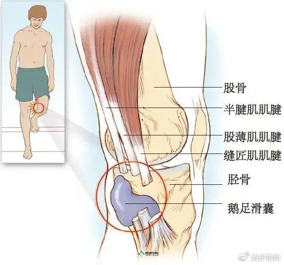 右侧加强筋是哪里图片图片