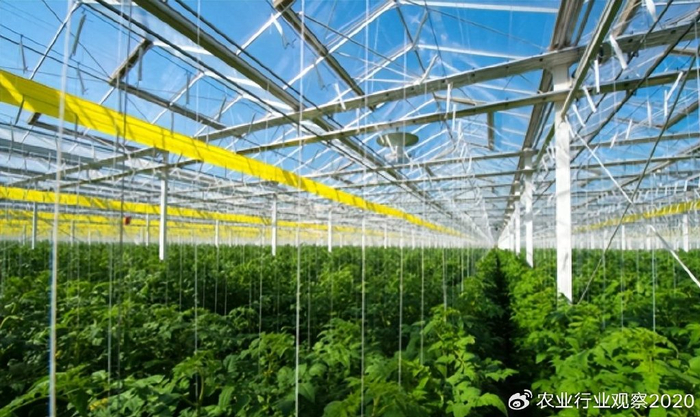 农业行业观察(10月12日)我国将全方位培育壮大智慧农业产业__财经头条