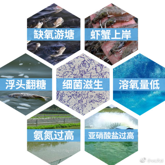 如何检测氨氮超标以及常见的氨氮超标处理方法