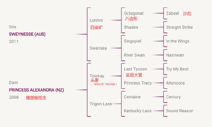 新西兰|史云|金钻_新浪新闻