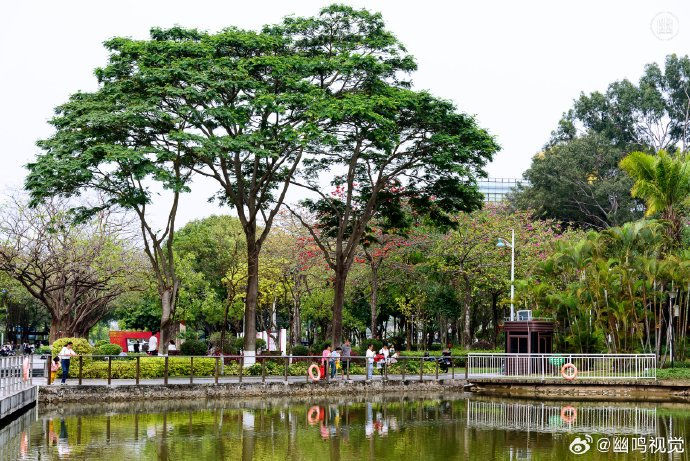 来一场绿意盈盈的citywalk感受城市慢生活东莞元美公园