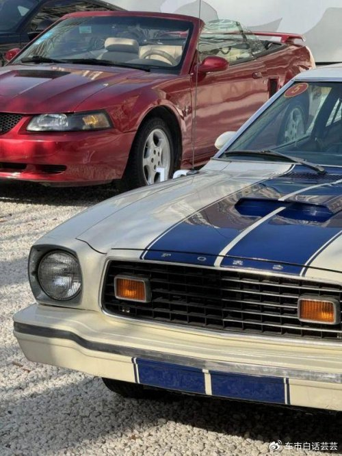 darkhorse强势登陆福特进口跑车mustang引领肌肉车豪华时代