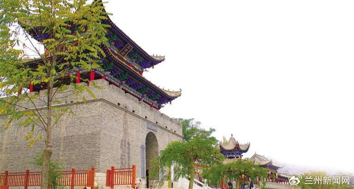 西固区河口镇:设施农业助农民踏上致富路