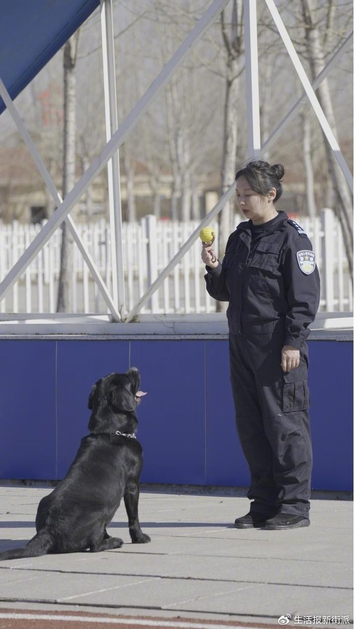 冰城警花和"功勋犬"的故事|安保|王双|警犬_新浪新闻