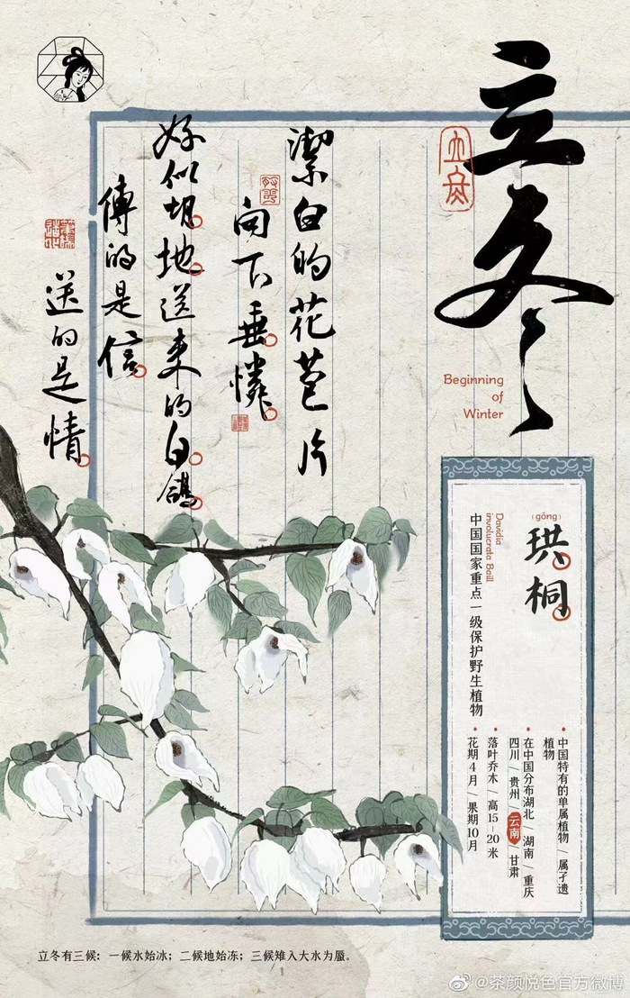 宣纸独特的质感和纹理 | 展现出古籍所承载的文化底蕴和美学魅力