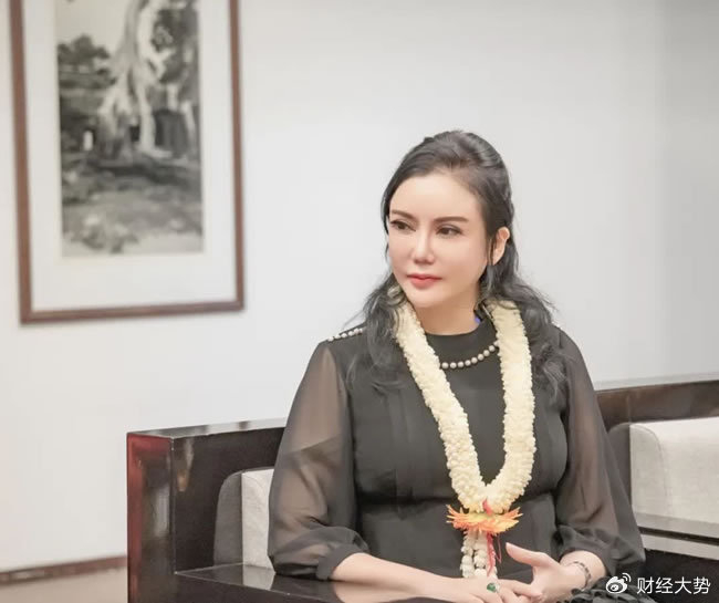 国际经济战略研究院院长彭丹:柬埔寨是一个严重被低估的国家!__财经头条__新浪财经